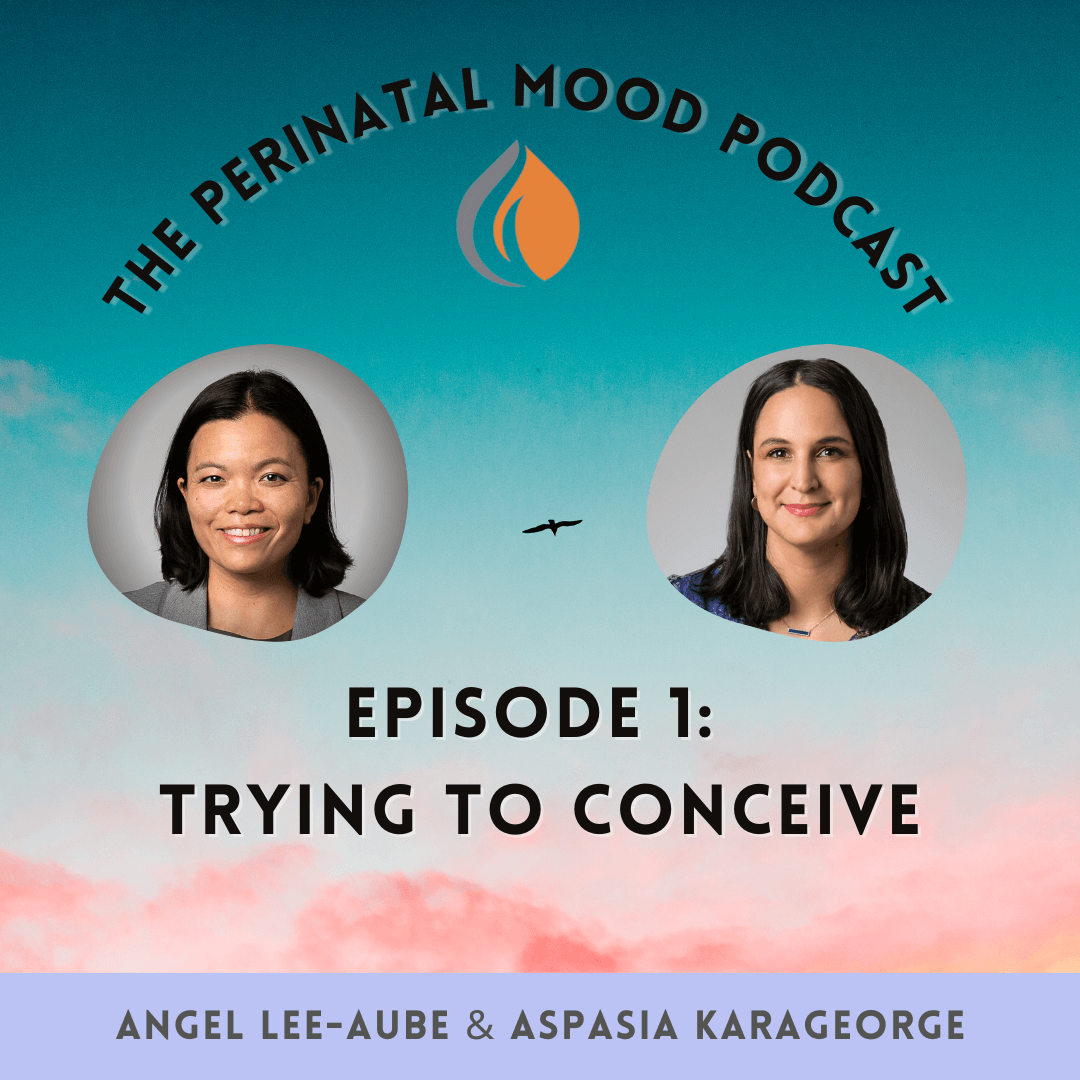 Episode 1: The Journey from Conception to Motherhood