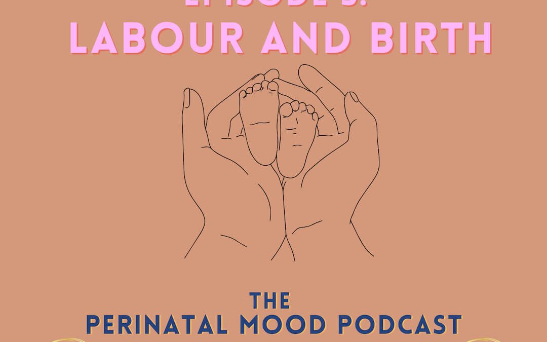 Episode 3: Labour and Birth